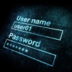 What is a Username