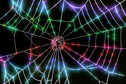 What is a Web Crawler&##x3f;