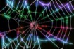 What is a Web Crawler&##x3f;