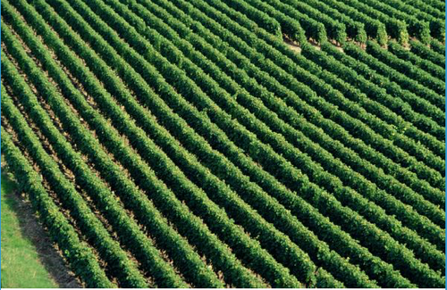 What is Precision Agriculture&##x3f;