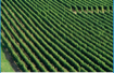 What is Precision Agriculture