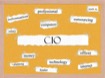 What is a Chief Information Officer