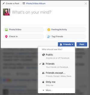 Facebook Audience Selector Desktop Options