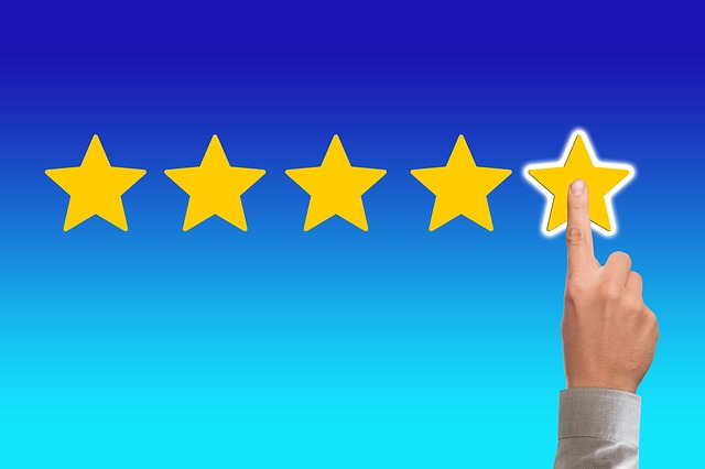 Online Reputation and Review Management