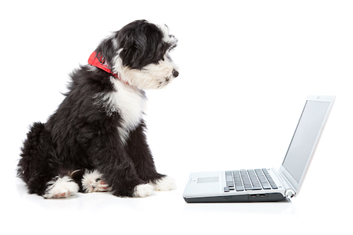 Computer Basics eLearning Course