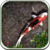 Pocket Pond Icon
